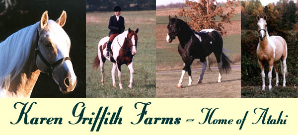 Horses - ponies for sale, Pony Hunters, Hunter Jumpers, Performance Horses, Sport Horses, Sport Ponies and Hunter Champions.